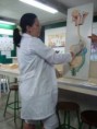 /album/aul%c3%a3o-curso%20orbital%20biologia/aul%c3%a3o-alunos%20curso%20orbital%20biologia%203-jpg/